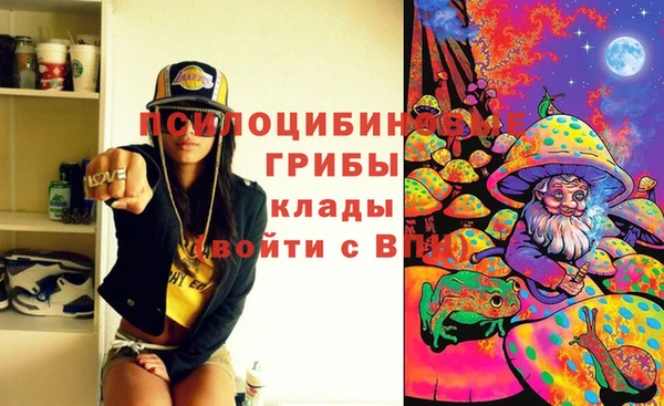 шишки Балахна