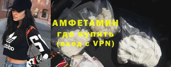 шишки Балахна