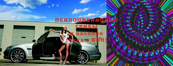 шишки Балахна
