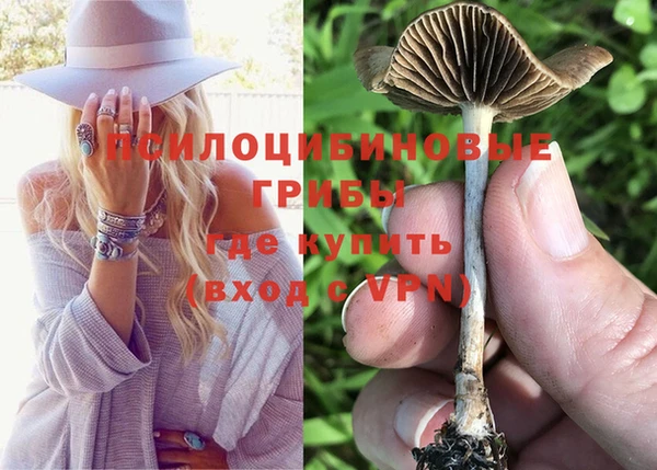 не бодяженный Баксан